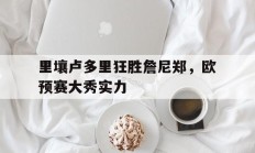 开云体育官方网站-关于里壤卢多里狂胜詹尼郑，欧预赛大秀实力的信息