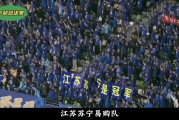 开云官网-苏宁主帅调整阵容，球队连胜在望的简单介绍